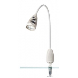 tête Luminaria et la...