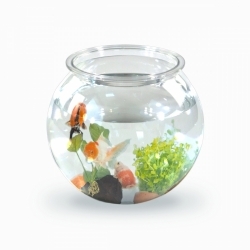 Petit aquarium rond | PET...